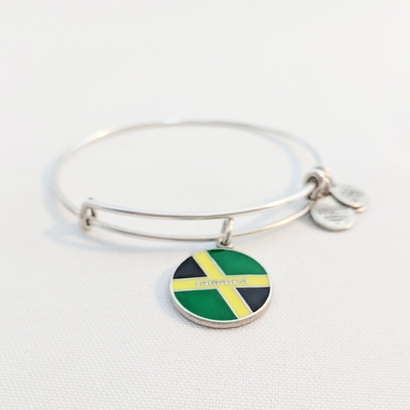 Alex and Ani Silver Jamaica Charm Bracelet - Picture 7 of 7
